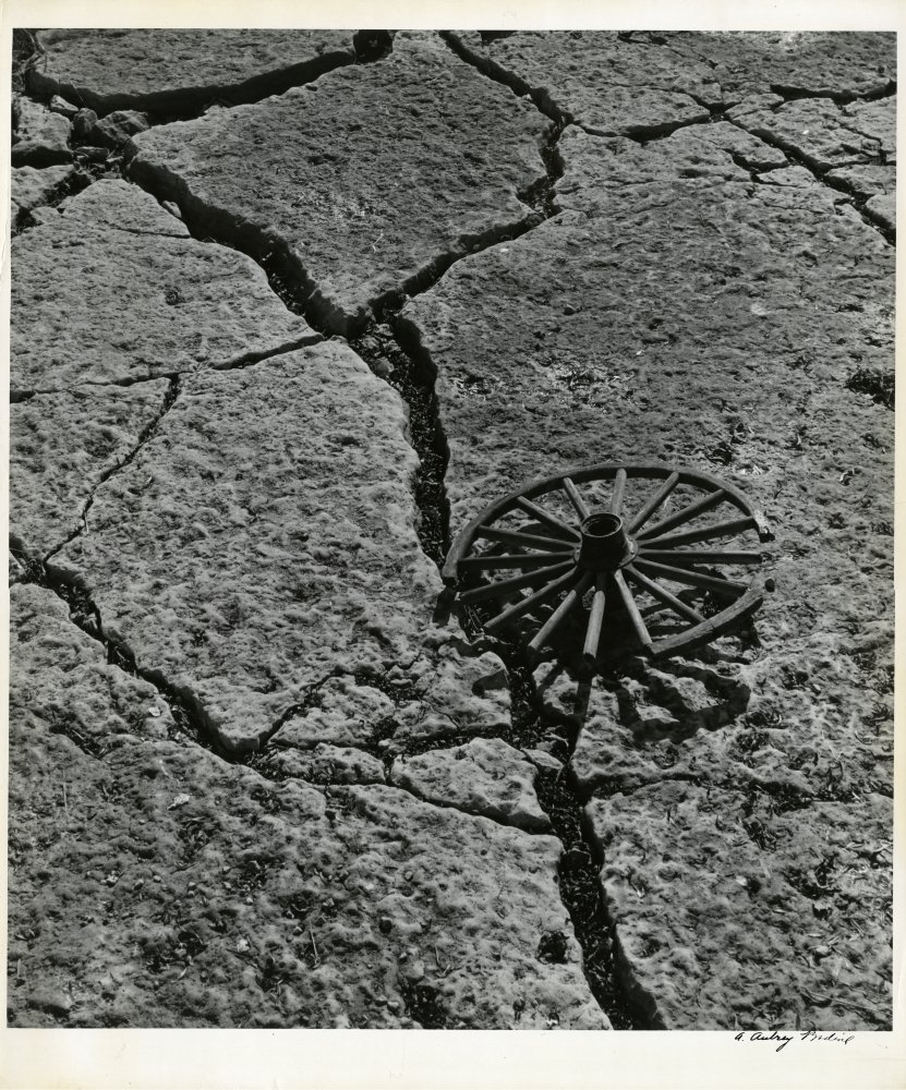 Click for larger image